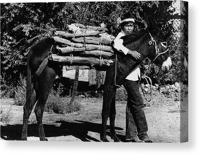 Navajo Boy Donkey Carrying Wood Inter-tribal Indian Rodeo Gallup New Mexico 1969. Canvas Print featuring the photograph Navajo Boy Donkey Carrying Wood Inter-tribal Indian Rodeo Gallup New Mexico 1969. #4 by David Lee Guss