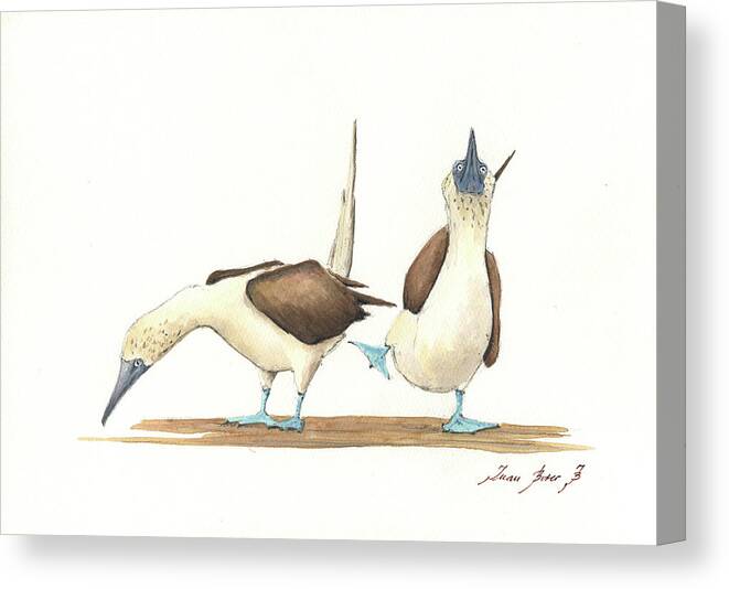  Canvas Print featuring the painting Blue footed boobies #4 by Juan Bosco