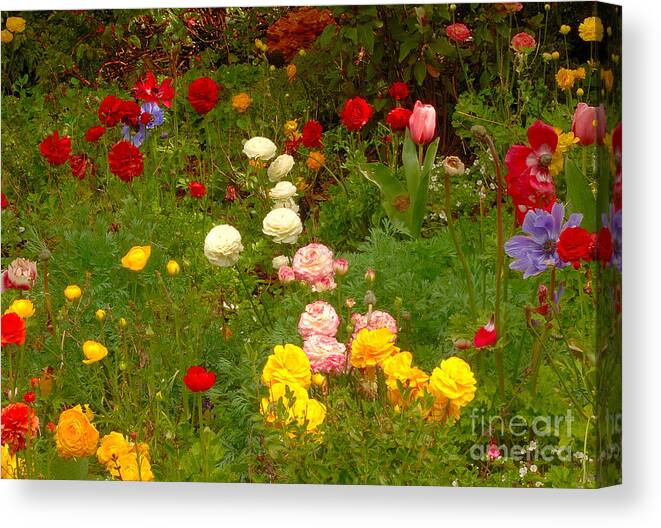 Flowers Canvas Print featuring the photograph Flowers #45 by Marc Bittan