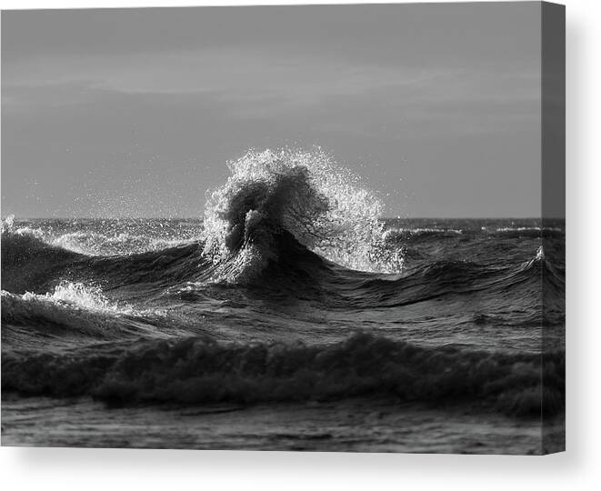 Lake Erie Canvas Print featuring the photograph Lake Erie Waves #5 by Dave Niedbala