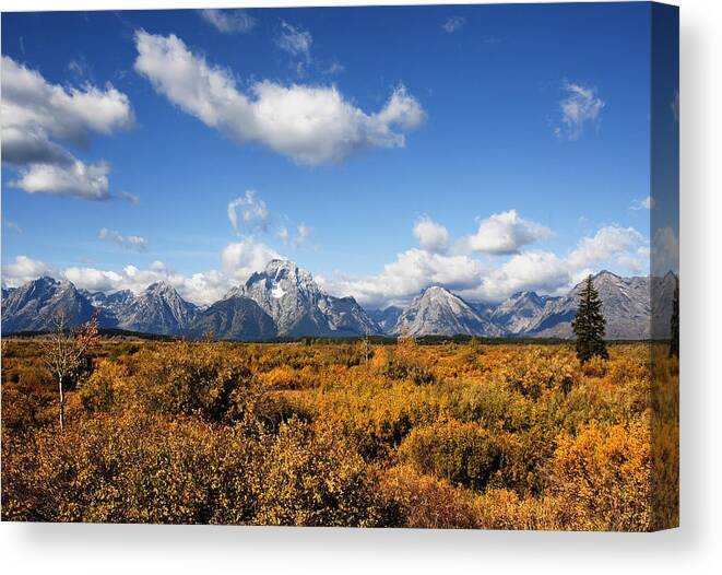 Wyoming Canvas Print featuring the photograph Grand Teton National Park #55 by Mark Smith