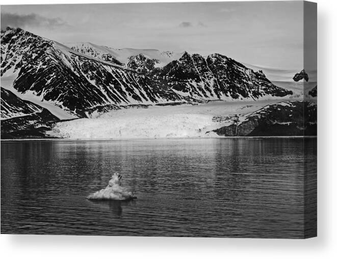 Arctic Canvas Print featuring the photograph 79 Degrees North J by Terence Davis