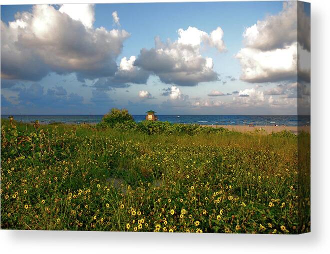 Sunflowers Canvas Print featuring the photograph 8- Sunflowers In Paradise by Joseph Keane