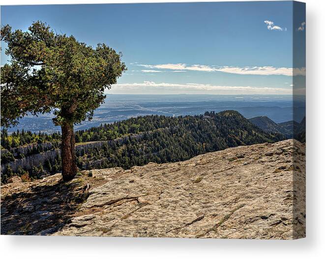 Landscape Canvas Print featuring the photograph A Tree on the Edge by Michael McKenney