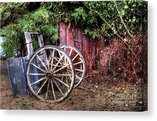 Horse Canvas Print featuring the photograph Abandoned cart by Jim And Emily Bush