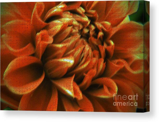 Flower Canvas Print featuring the photograph Abstract Dahlia by Karen Lewis