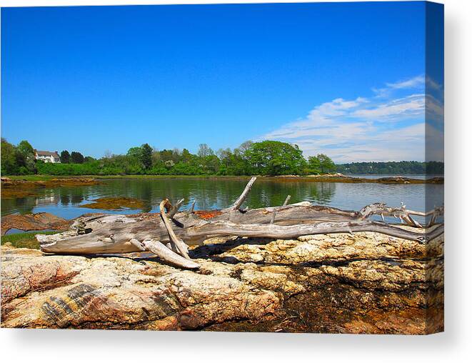 Landscapes Canvas Print featuring the photograph Adrift in Maine by AnnaJanessa PhotoArt