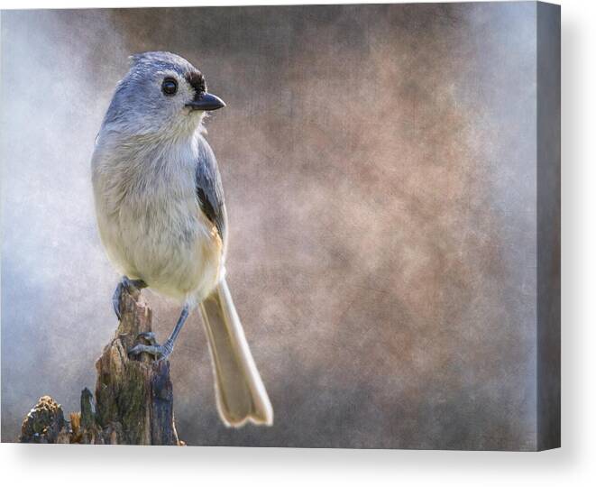 Bird Canvas Print featuring the photograph Afternoon Titmouse by Bill and Linda Tiepelman