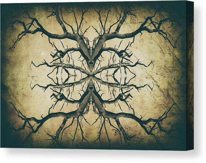 Aged Tree Canvas Print featuring the photograph Aged Sepia Tree Dual by John Williams