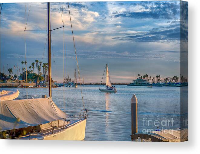 Naples Canals Canvas Print featuring the photograph Alamitos Bay inlet Sailboat by David Zanzinger