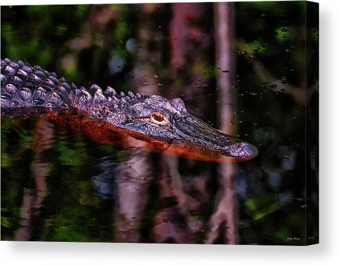 Reptile Canvas Print featuring the photograph Alligator Waiting 003 by George Bostian