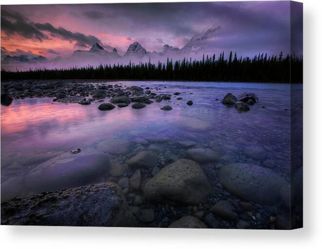 River Canvas Print featuring the photograph Along The Athabasca by Dan Jurak