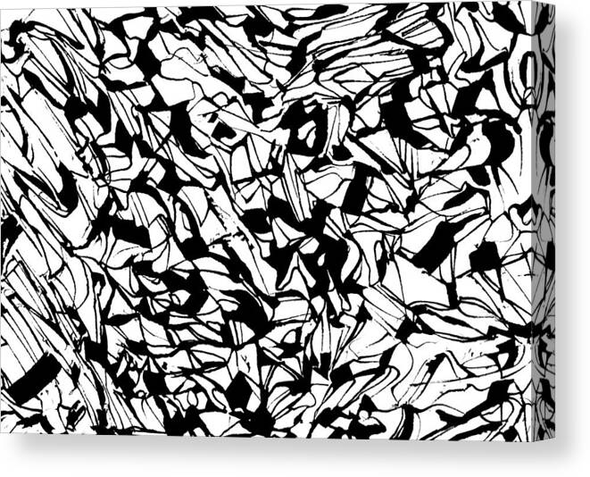 Drawing Canvas Print featuring the drawing Alternate Topography 1 by Daniel Schubarth
