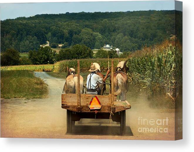 Amish Farmer Canvas Print featuring the photograph Amish Farmer Three Horses by Beth Ferris Sale