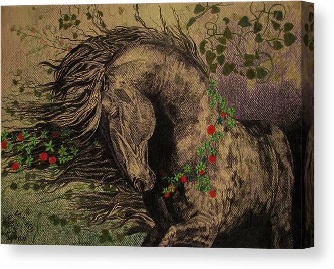 Horse Canvas Print featuring the drawing Aristocratic horse by Melita Safran