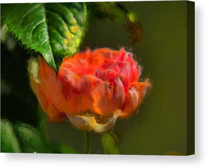 Artistic Canvas Print featuring the photograph Artistic Rose and leaf by Leif Sohlman
