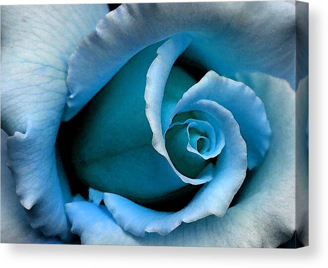 Blue Rose Canvas Print featuring the digital art Autumn Belle by Carrie OBrien Sibley
