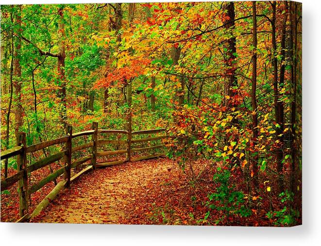 Autumn Landscapes Canvas Print featuring the photograph Autumn Bend - Allaire State Park by Angie Tirado