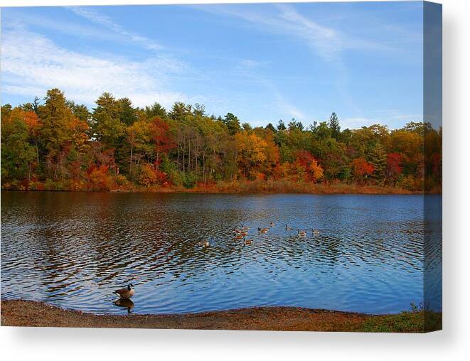 Autumn Canvas Print featuring the photograph Autumn Day On The Lake - Lake Carasaljo by Angie Tirado