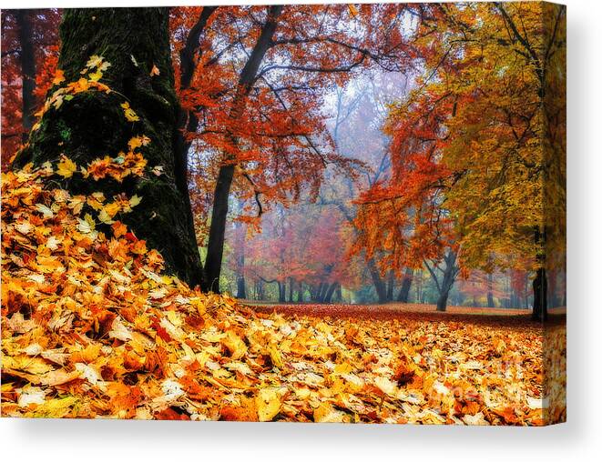 Autumn Canvas Print featuring the photograph Autumn In The Woodland by Hannes Cmarits