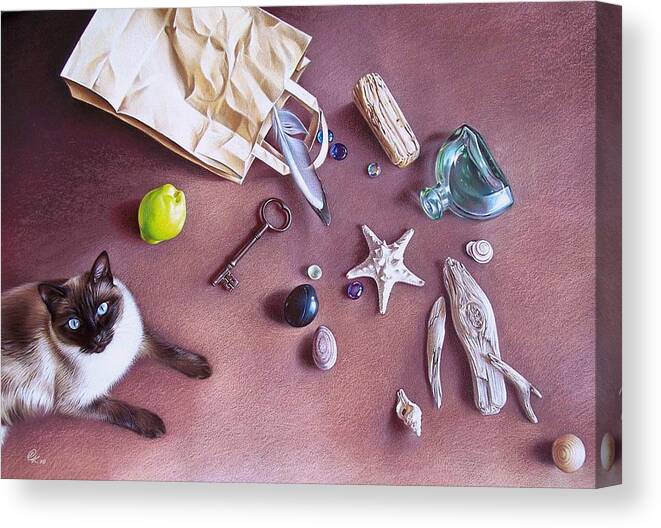 Cat Canvas Print featuring the mixed media Bag of treasures by Elena Kolotusha