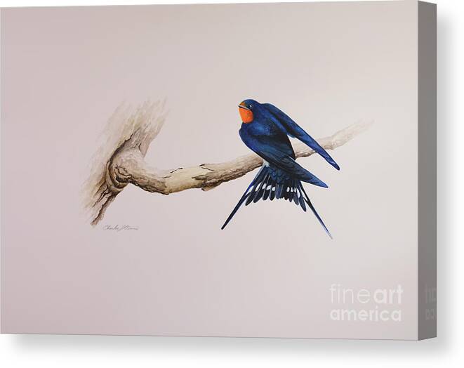 Bird Canvas Print featuring the painting Barn Swallow by Charles Owens