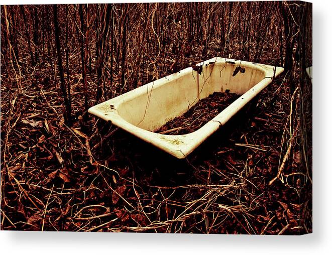 Bath Canvas Print featuring the photograph Bath by Grebo Gray