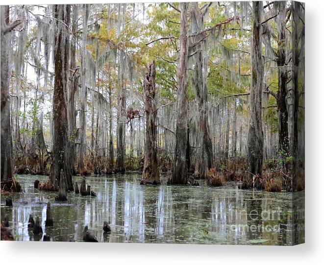 Louisiana Canvas Print featuring the photograph Bayou Magic by Carol Groenen