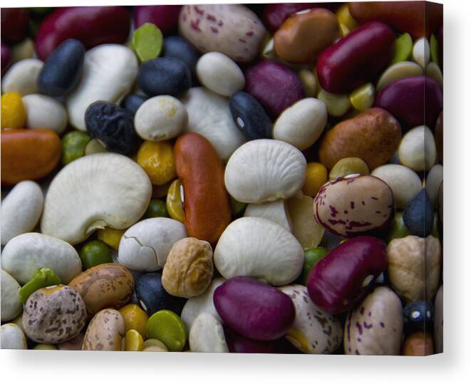 Usa Canvas Print featuring the photograph Beans of Many Colors by LeeAnn McLaneGoetz McLaneGoetzStudioLLCcom