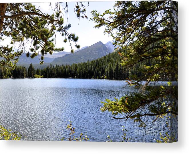 Nature Canvas Print featuring the photograph Bear Lake RMNP by Nava Thompson
