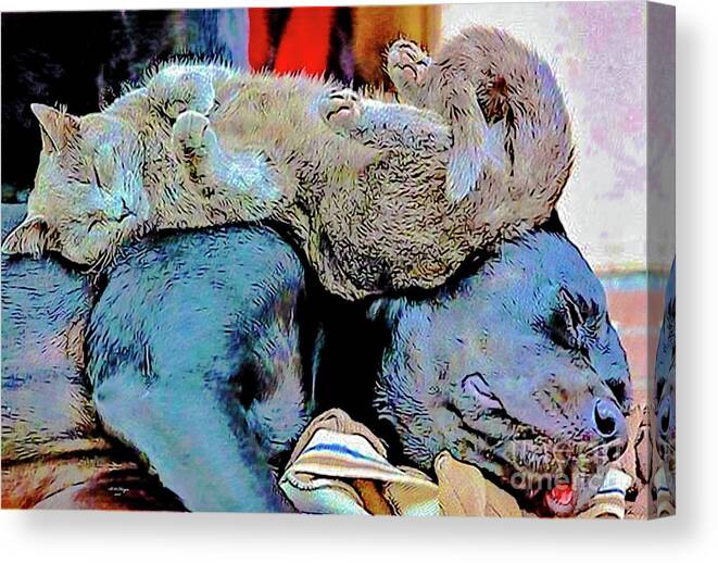 Dog Canvas Print featuring the digital art Best Buds II by DB Hayes