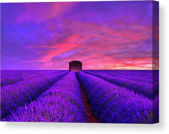  Sunset Canvas Print featuring the photograph Beyond sunset by Midori Chan