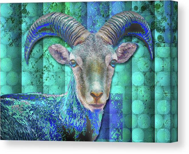 Blue Canvas Print featuring the digital art Billy Goat Blue by Mimulux Patricia No