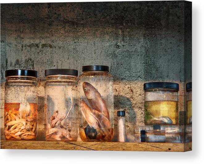 Suburbanscenes Canvas Print featuring the photograph Biology - Biology 101 by Mike Savad