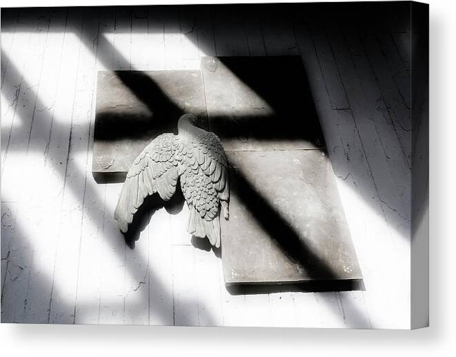 Shadow Canvas Print featuring the photograph Bird In A House by Micah Offman