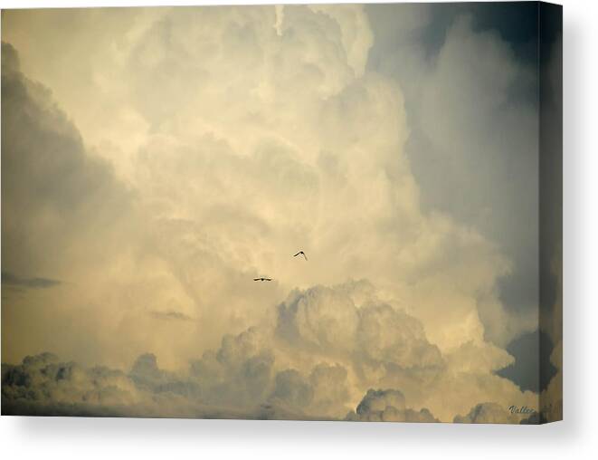 Clouds Canvas Print featuring the photograph Birds in the Clouds by Vallee Johnson