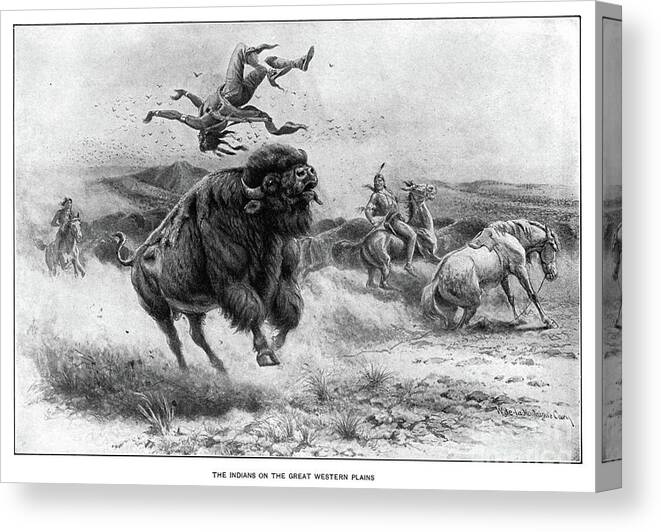 1800s Canvas Print featuring the drawing Bison Hunt by Granger