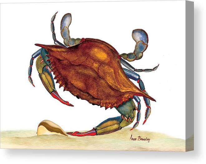 Crab Canvas Print featuring the painting Blue Crab by Anne Beverley-Stamps