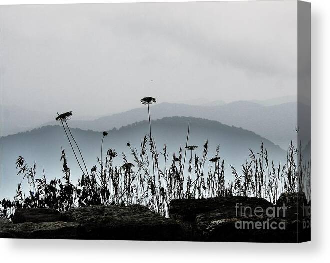 Mountains Canvas Print featuring the photograph Blue on Blue 2 by Julie Lueders 