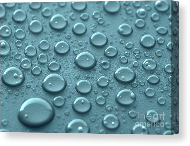 Water Canvas Print featuring the photograph Blue water drops by Blink Images