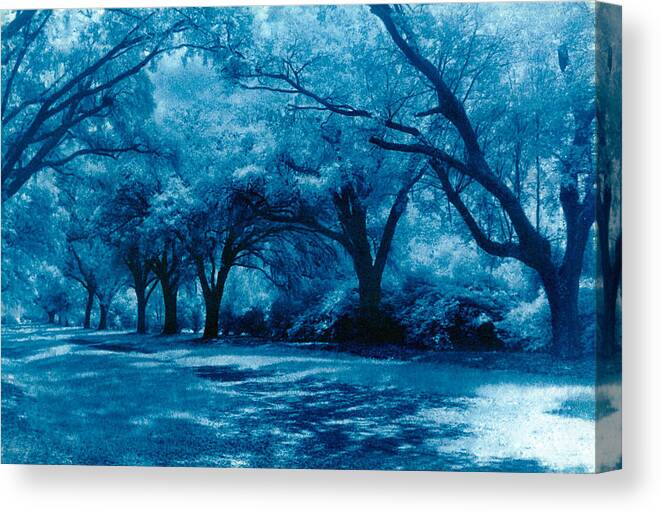 Landscape Canvas Print featuring the photograph Blue Way by Jean Wolfrum