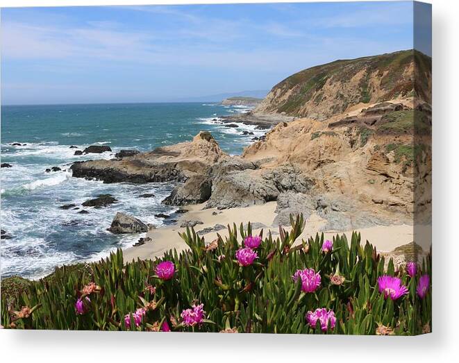 Bodega Head Canvas Print featuring the photograph View from Bodega Head in Bodega Bay CA by Christy Pooschke