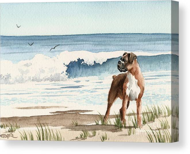 Boxer Canvas Print featuring the painting Boxer At The Beach by David Rogers