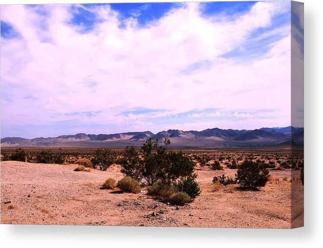 California Canvas Print featuring the photograph California Desert Adventure Landscape and Mountain View by Matt Quest