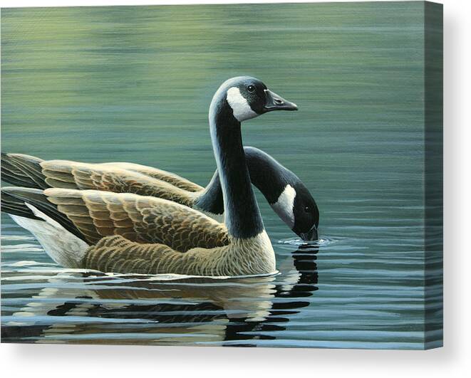 Canada Geese Canvas Print featuring the painting Canada Geese by Mark Mittlesteadt