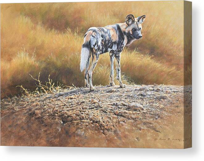 Wildlife Paintings Canvas Print featuring the painting Cape Hunting Dog by Alan M Hunt