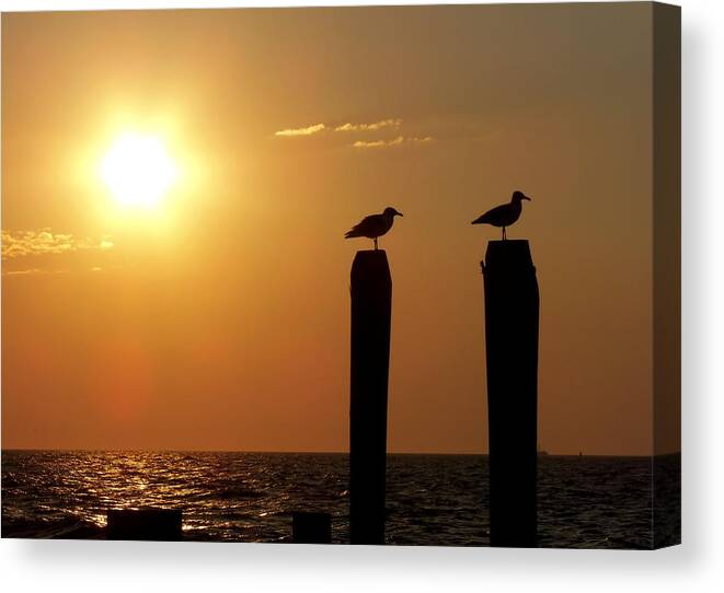 Atlantic Canvas Print featuring the photograph Cape May Morning by JAMART Photography