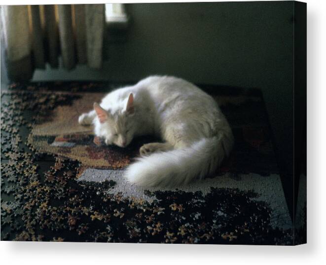 Cat Canvas Print featuring the photograph Cat on a puzzle by Lois Bartholomew