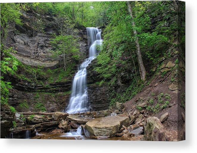 Cathedral Falls Canvas Print featuring the photograph Cathedral Falls by Chris Berrier