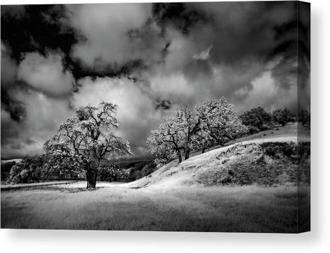 Central Coast. California Canvas Print featuring the photograph Central California Ranch by Sean Foster